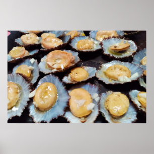 Poster Limpets "lapas" des Açores