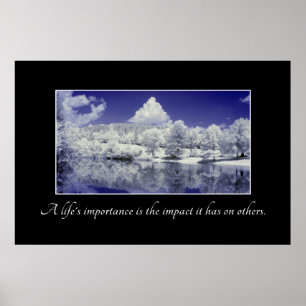 Poster L'importance d'une vie est son impact