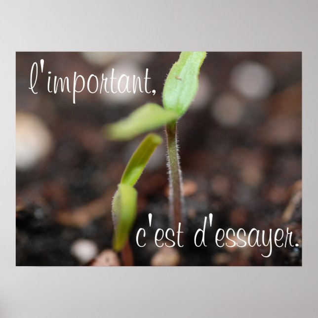 Poster L'important est d'essayer l'affiche motivationnell (Devant)