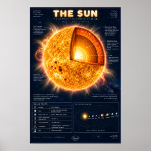 Poster L'infographie scientifique de la section transvers