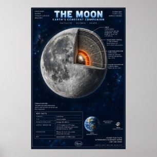 Poster L'infographie scientifique en coupe transversale d