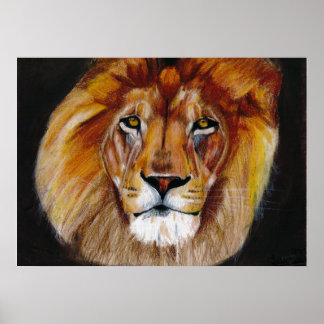Poster Lion