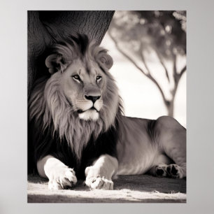Poster Lion africain majoritaire noir et blanc