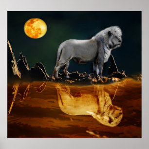 Poster Lion blanc gardant la nuit