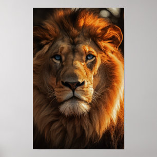 Poster Lion bleu