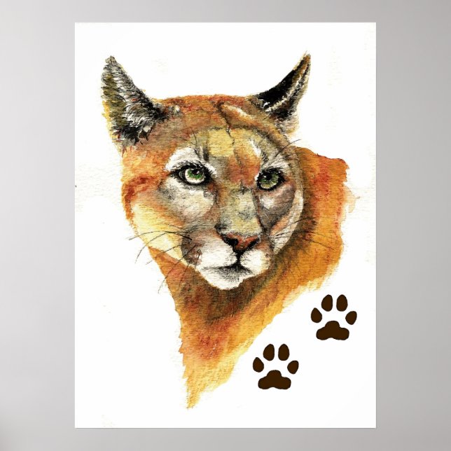 Poster Lion Cougar Mountain Imprimer (Devant)
