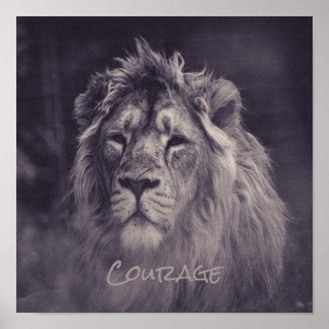 Poster Lion Courage Roi de la Jungle (Devant)