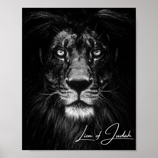 Poster Lion de Juda - Chrétien (Devant)