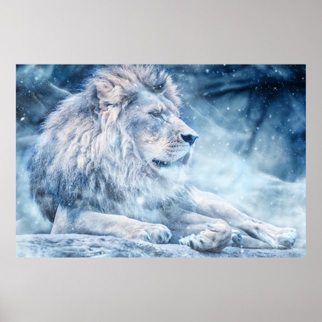 Poster Lion de neige (Devant)