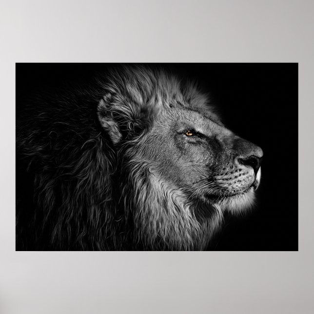 Poster Lion en noir et blanc (Devant)