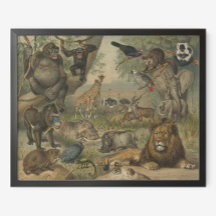 Lion et amis animaux en Afrique