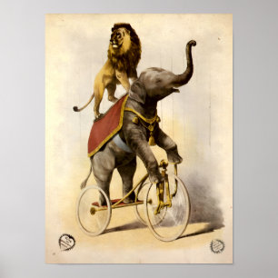 Poster Lion et éléphant de cirque de l'ère victorienne su