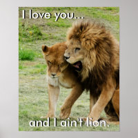 Poster Lion et Lioness