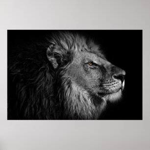 Poster Lion in black and white