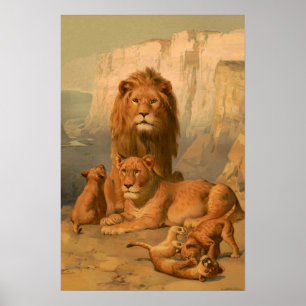 Poster Lion, lioness and cubs