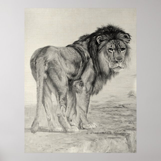 Poster Lion Majestic vintage (Devant)
