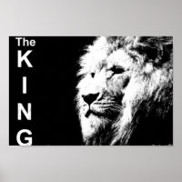 Lion noir blanc Modèle Nature Animal Le Roi