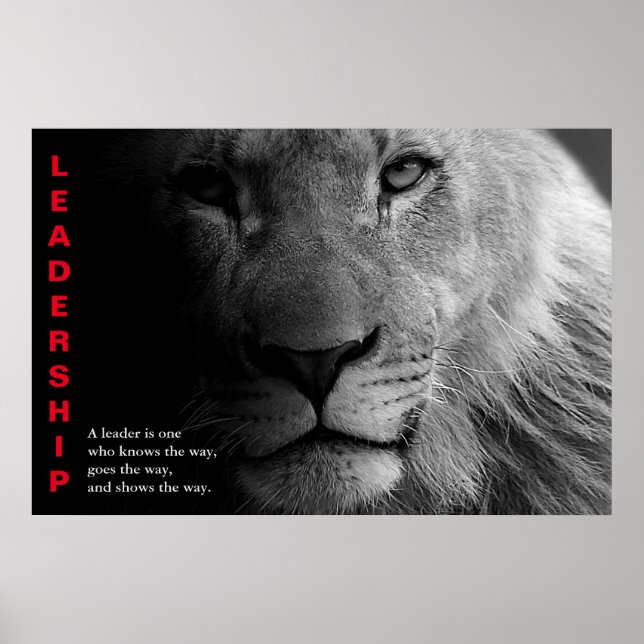 Poster Lion noir blanc yeux leadership motivationnel (Devant)