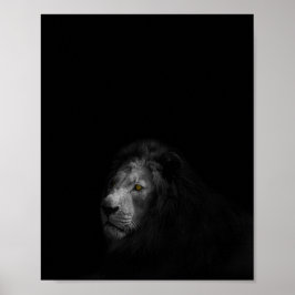 Poster Lion, noir et blanc,