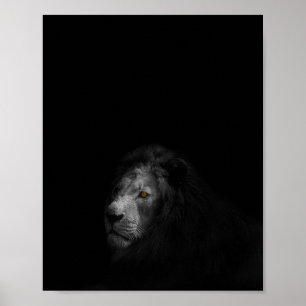 Poster Lion, noir et blanc,