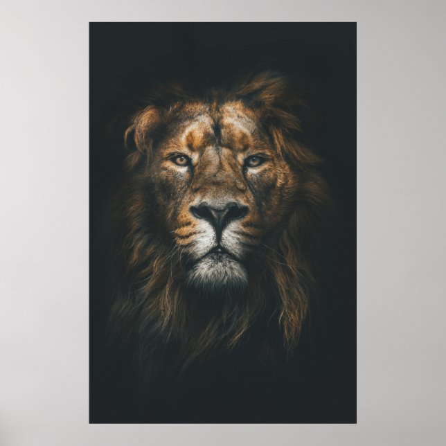 Poster Lion Photographie moderne (Devant)