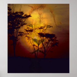 Poster Lion regardant le coucher de soleil africain