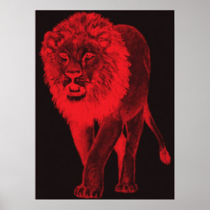 Poster Lion rouge de lueur