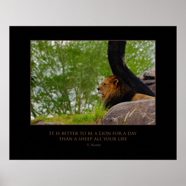 Poster Lion sur le Mont (Devant)