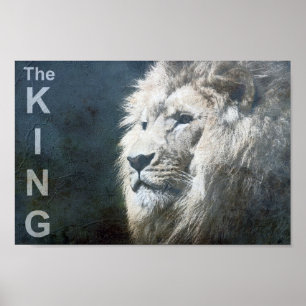 Poster Lion tendance sur mesure Modèle Nature Animal Le R