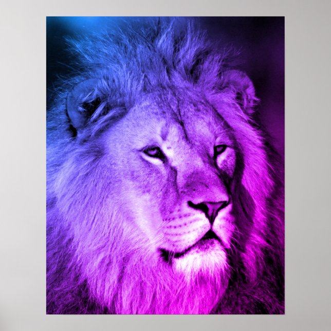 Poster Lion Violet Bleu - Art de la photographie animale (Devant)