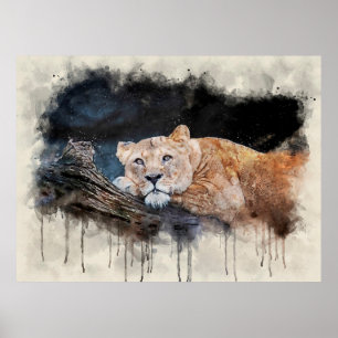 Poster Lioness