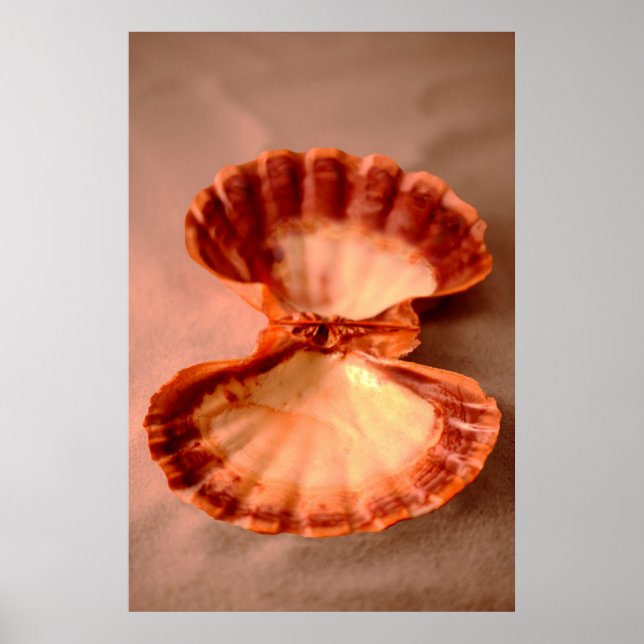 Poster Lions Paw (Devant)