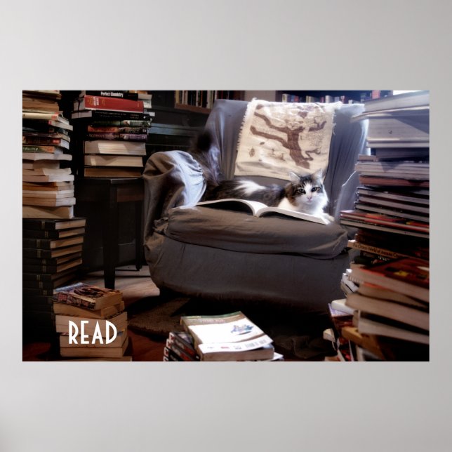 Poster Lire (Devant)