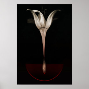 Poster Lis 2013 de saignement