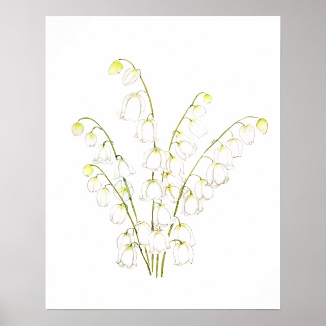 Poster lis blanc de vallée 2021 (Devant)