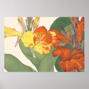 Poster Lis de Canna