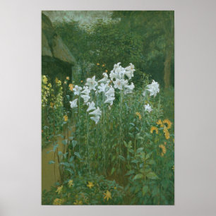 Poster Lis de Madonna dans un jardin