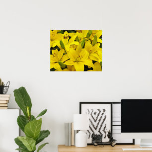 Poster Lis floraux asiatiques jaunes Photographie