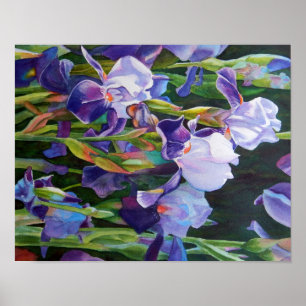 Poster Lisa's Iris Garden