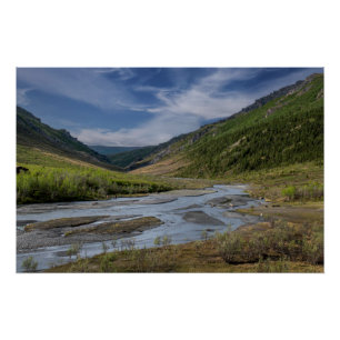 Poster Lit de la rivière Nenana en Alaska