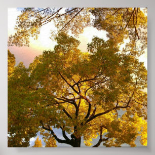 Poster Lit en dedans