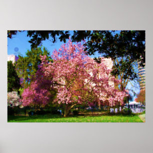 Poster Lit Magnolia Trois Postes
