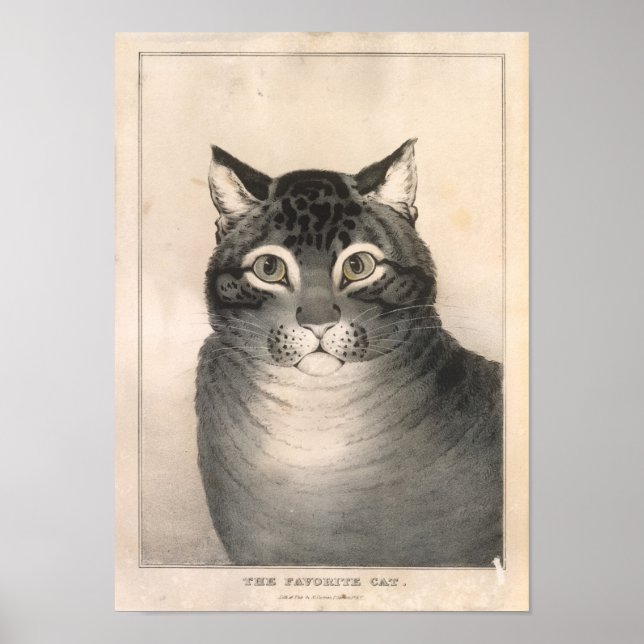 Poster Lithographie de chat préférée - Nathaniel Currier (Devant)
