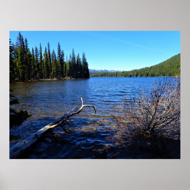 Poster Little Cultus Lake, OU (Devant)