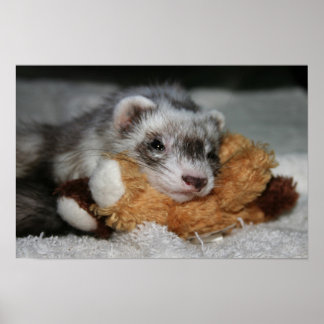 Poster Little Dooks Penny