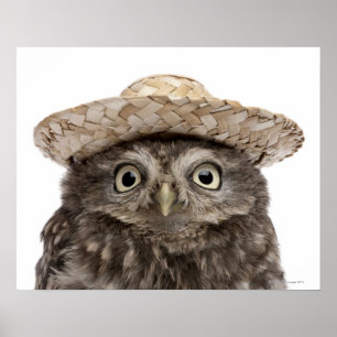 Poster Little Owl wearing a straw a