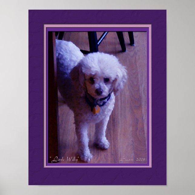 Poster Little Willy (Devant)