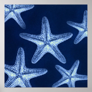 Poster littoral chic plage rustique nautique bleu étoile