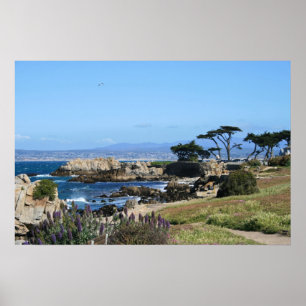 Poster Littoral de baie de Monterey, photo de ressort