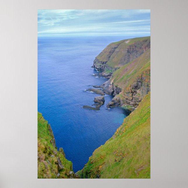 Poster Littoral de Terre-Neuve (Devant)